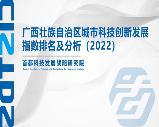 一个小嫩逼两个鸡吧操视屏【成果发布】广西壮族自治区城市科技创新发展指数排名及分析（2022）